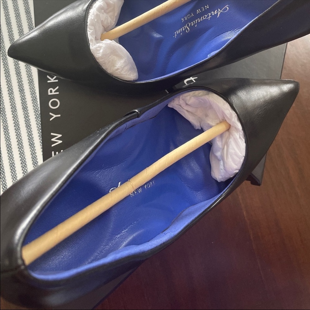 Antonia Saint NY black heels.